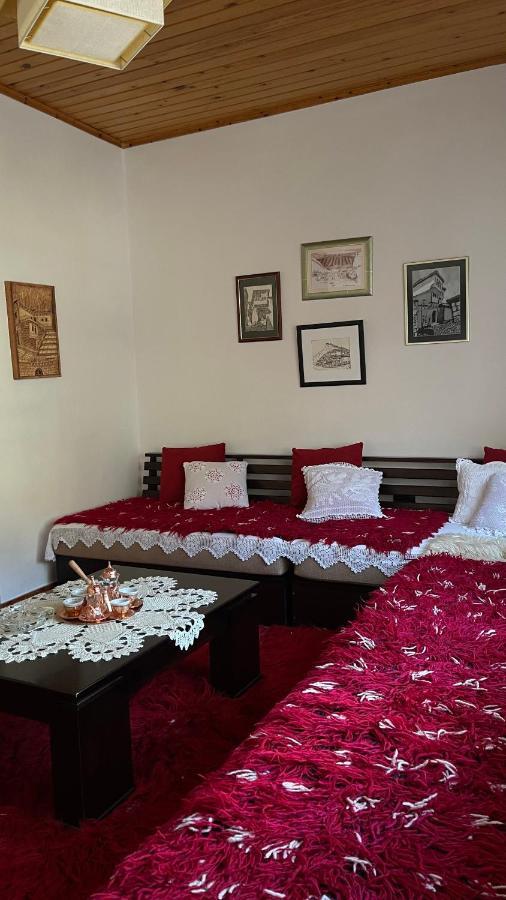 Ana Rest House Hostel Berat Buitenkant foto